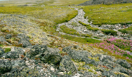 Riverbed reaching out to a marine inlet on one of the 24 islands